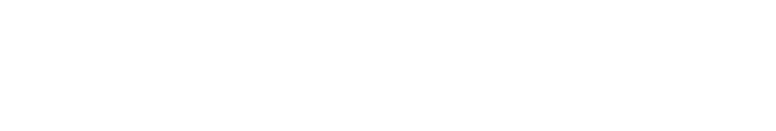 Internet Ventures Development